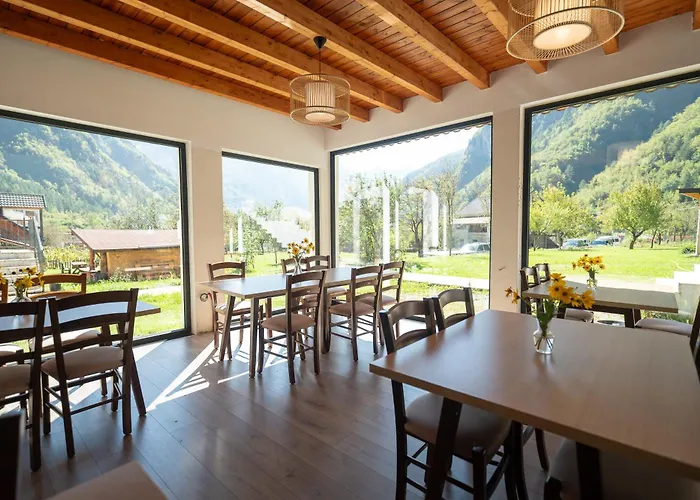 Bujtina Harusha 3* テス