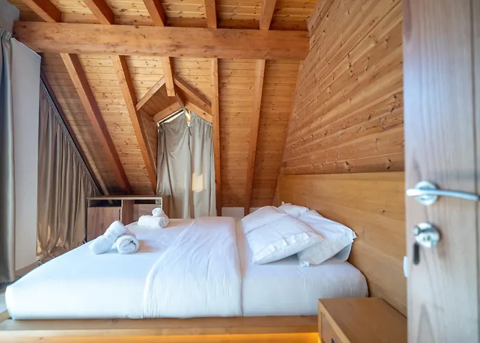 Bujtina Harusha テス