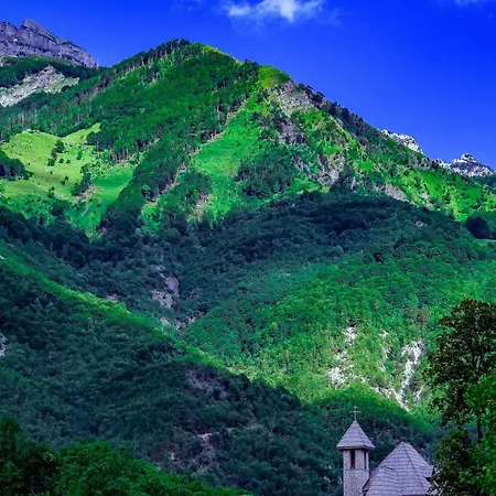 Bujtina Harusha *