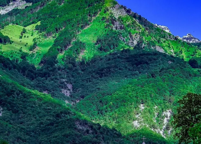 Bujtina Harusha 3*